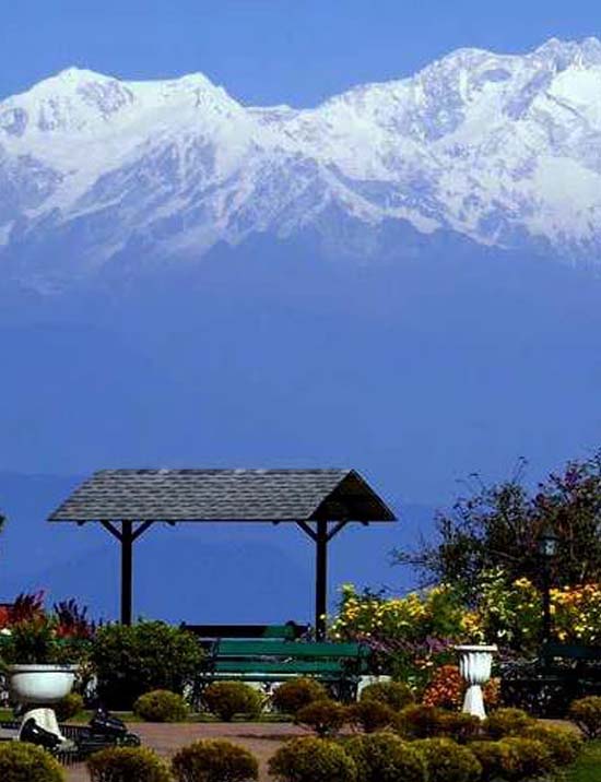 Nightingale park Darjeeling