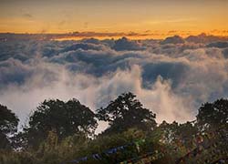 sight seeing nawang trek